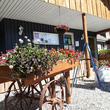 Bollingso Camping Engesvang 외부 사진