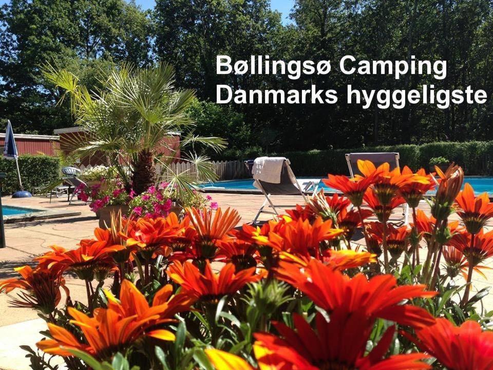Bollingso Camping Engesvang 외부 사진